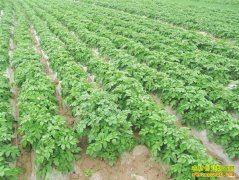 [ũ�����]������������Ĥ���༼����Ƶ