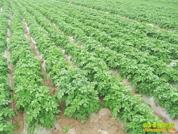 [ũ�����]������������Ĥ����(20160118)