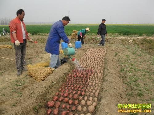 [ũ�����]������������˩�ĺ������羭