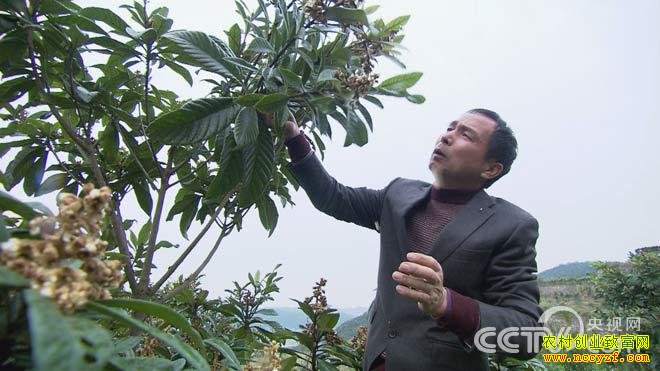 [��ɫʱ��]�ɾ����������ַ��������ԡ��𡱼�