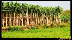 [�۽���ũ]�������ǧĶ���������������