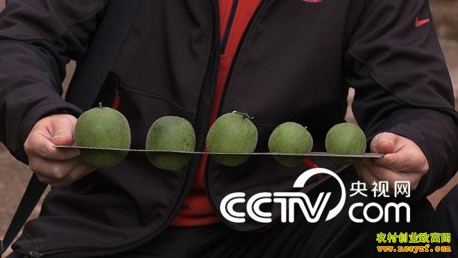 [�¸���]�������������´�ͨһ������׬ȡ���ֲƸ�