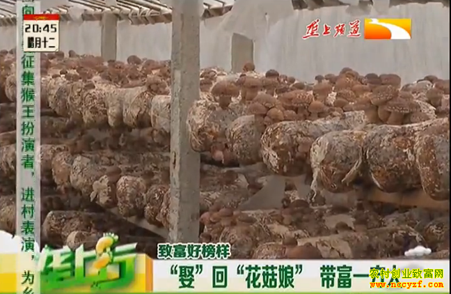 �¸��ð�������Ȣ���ء������ ����һ����