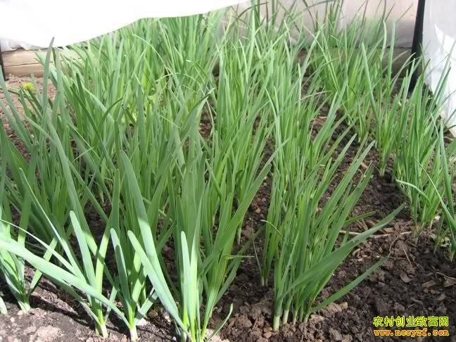 ɽ������ض����־²�΢Ӫ��10Ԫ1��������