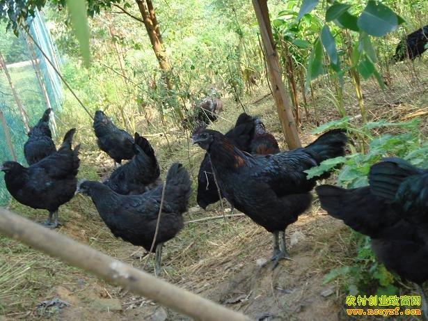 [�¸���]�Ĵ���Դ���⻪��ֳ��Ժ�ڼ��ĲƸ�