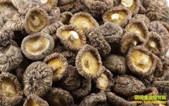 ���㹽׬Ǯ�𣺸��㹽�۸��������Ʒ���