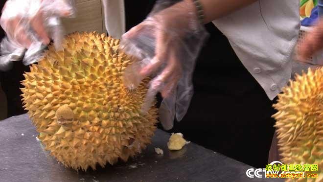 [�¸���]���쳤�ٵ˺������Ƹ���һ���ⵣ��