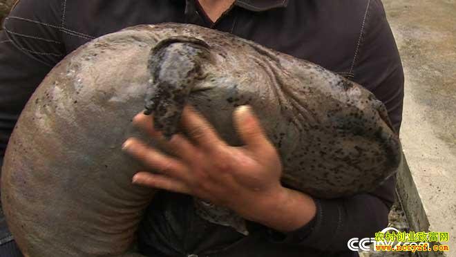 [�¸���]�����Ž�����Ȩ�����͵�������׬Ǯ