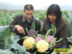 [ũ�����]��ɫ��Ҭ�����༼����Ƶ