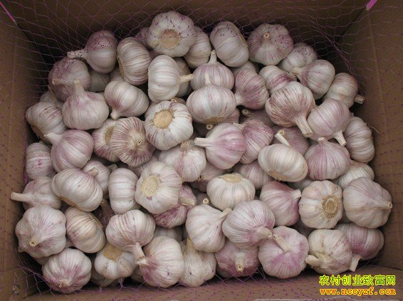 [ũ�����]�������ر��ʼ�����Ƶ