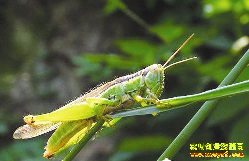 �������������������ƴ����Ƹ�