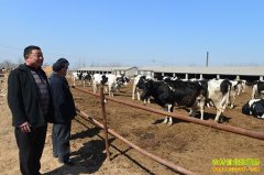 ����ũ�����������Щ˰���Ż����ߣ�