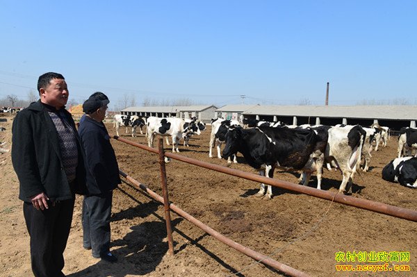 ����ũ�����������Щ˰���Ż�����