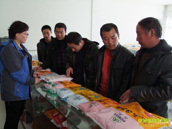 ����ѡ������