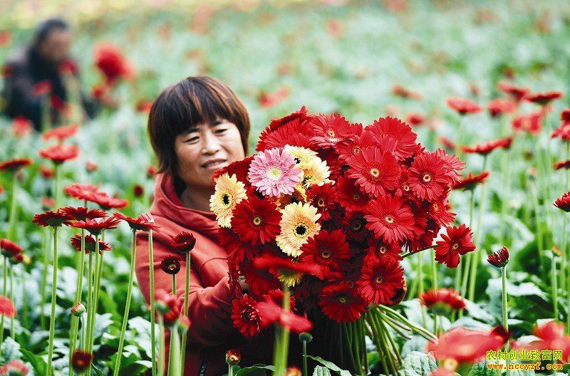 ɽ��������ֲ���л�������ƶ·