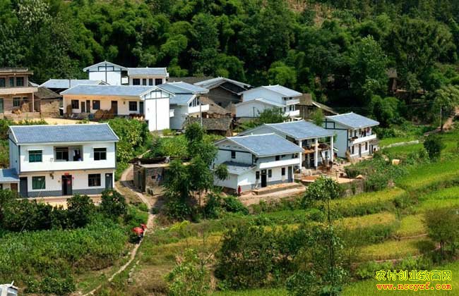 δ��ũ���ʲô��׬Ǯ����һ��ũ�崴ҵ���۽���������