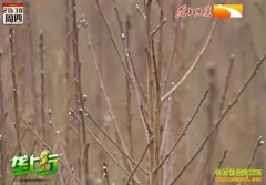 ��ֲ�¸�������ί�������� ��׬��ʮ��