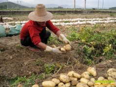 ɽ�������ظ𱦹���ֲ�������������¸�·