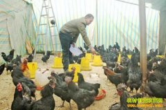 �½�٤ʦ�ذ�����������ֳ�ڹǼ������¸�·