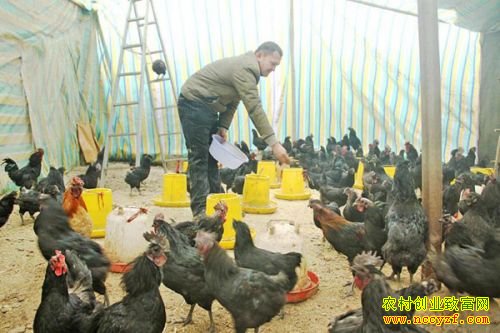 �����������������������ڸ��ڹǼ�ιʳ