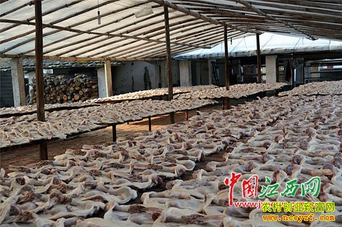 �����촨�������Ѽ����Ѽ��׬����Ԫ