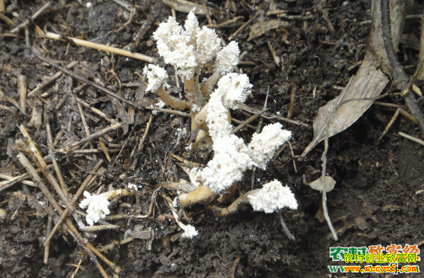 [�Ƽ�Է]�ҿ�����֮��