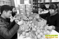 ���챱��ʨ�Ӵ�������΢�������ٴ���·