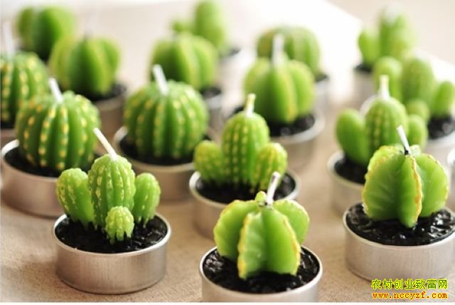 ʳ���������辰