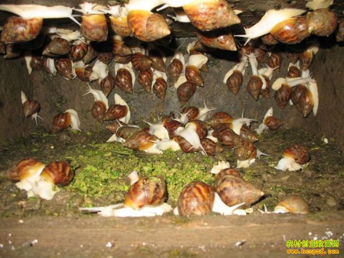 2016��������ֳʲô��Ŀǰ������׬Ǯ