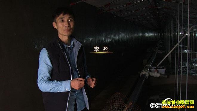 [�¸���]�����˳�����ӯ��ֳ�౦�������Ķ��Ƹ�