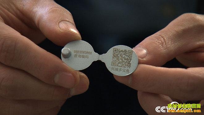 [�¸���]�����˳�����ӯ��ֳ�౦�������Ķ��Ƹ�