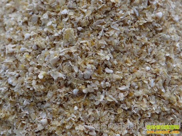 ��Ƥ�۸��������