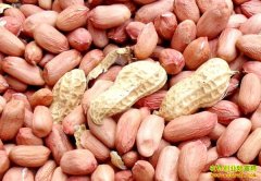 2016�껨���۸��������ƣ������۸�����Ƿ�����