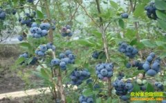 �����齭�����ͤ����ݮ��ũ�¸�