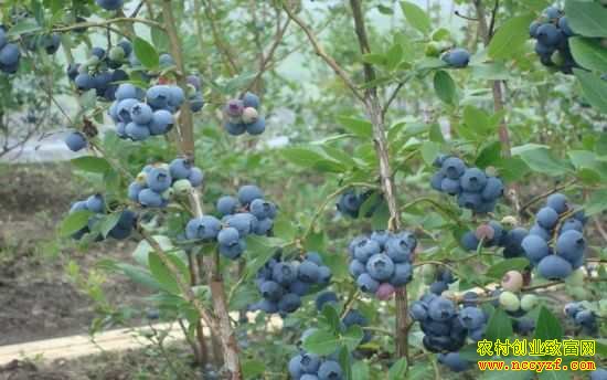 �����齭�����ͤ����ݮ��ũ�¸�  