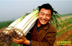 [�۽���ũ]�۽������ҵ����м۸��߸�