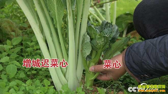 [�¸���]�������������ı����ǳٲ��ı�ɡ�ҡǮ����