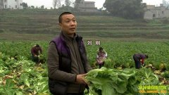 [�¸���]���˴Ӽ�Ǯ����ʼ�ı�:�����ݲ��¸���