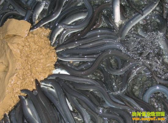 �㶫������������ֳ����ɹ��¸����ֵ100����Ԫ