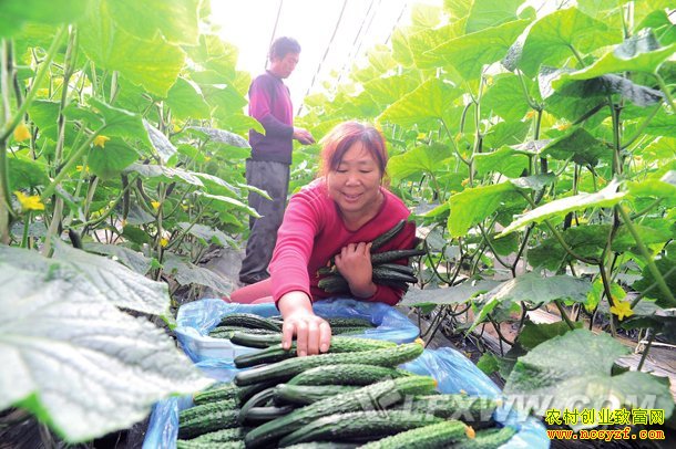 �������߲�׬Ǯ����