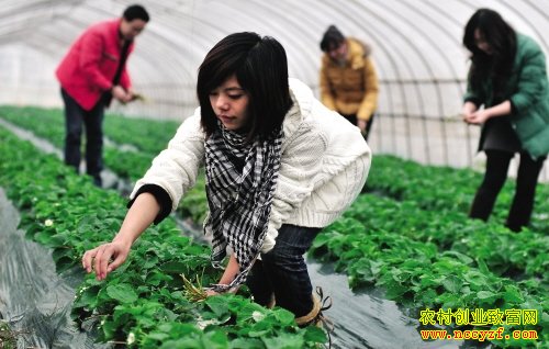 ũҵ��ҵ�¸�ʮ����