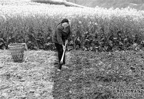 ���İ�����ֲ�����