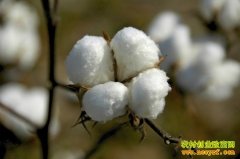 2016���޻��۸����Ʒ���