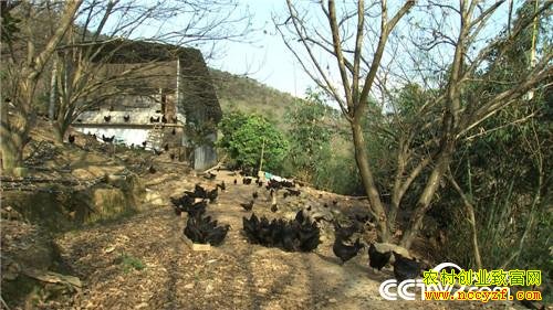 ����������ֳ�����ڼ��¸���