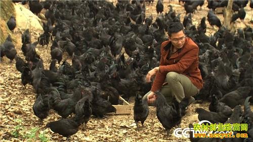 ����������ֳ�����ڼ��¸���