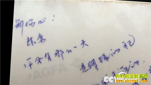 ���ֲƸ���͸��