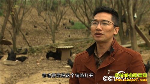 ����������ֳ�����ڼ��¸���