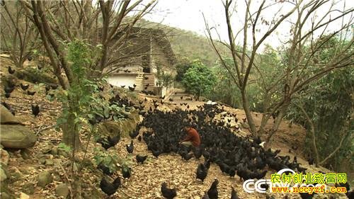 ����������ֳ�����ڼ��¸���