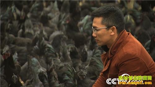 ����������ֳ�����ڼ��¸���