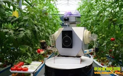 “十三五”规划纲要蕴藏的11个农业致富商机